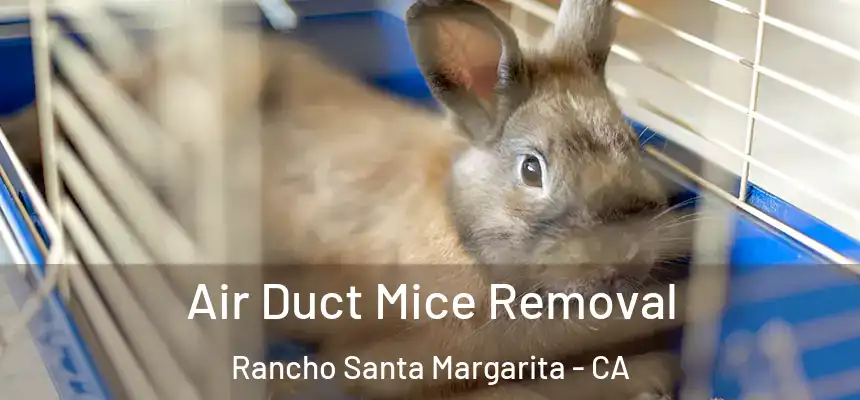  Air Duct Mice Removal Rancho Santa Margarita - CA