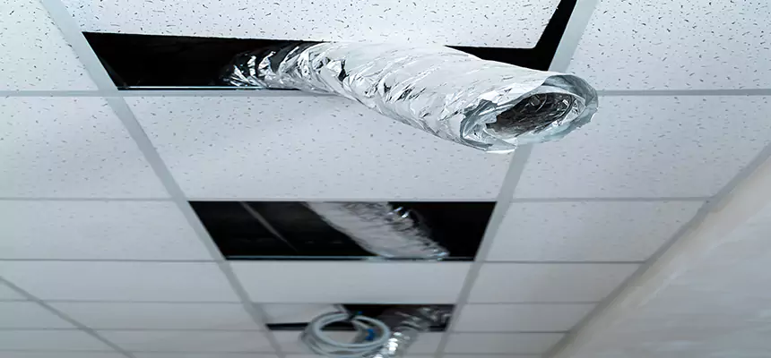 Affordable HVAC Sanitizing After Pest Removal in Rancho Santa Margarita