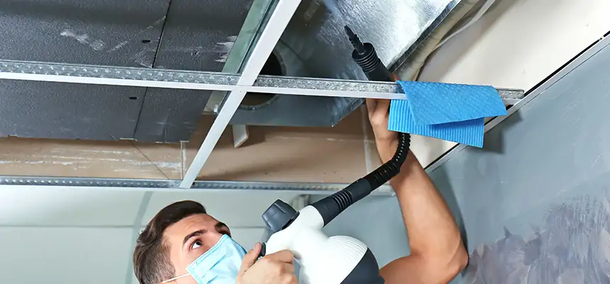 Our Air Duct Rodent Removal Services in Rancho Santa Margarita, CA