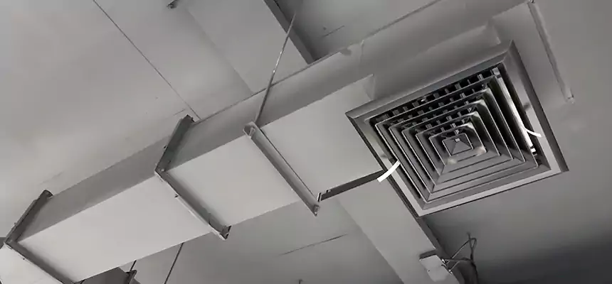 Our Rodent Droppings In Vents Services in Rancho Santa Margarita, CA