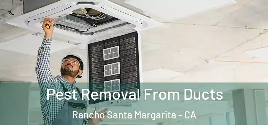 Pest Removal From Ducts Rancho Santa Margarita - CA