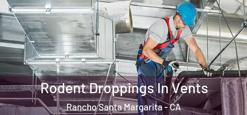  Rodent Droppings In Vents Rancho Santa Margarita - CA