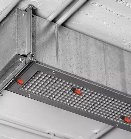 Affordable Insect Removal from Air Ducts in Rancho Santa Margarita, CA