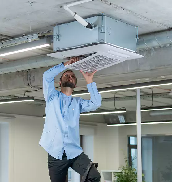 Advanced Rodent Droppings In Vents in Rancho Santa Margarita, CA