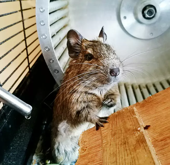 Why Homeowners & Businesses Trust Us Rancho Santa Margarita, CA?