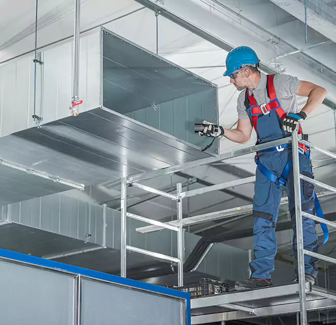 Why Homeowners & Businesses Trust Us in Rancho Santa Margarita, CA?