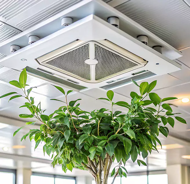 Why Homeowners & Businesses Trust Us in Rancho Santa Margarita, CA?