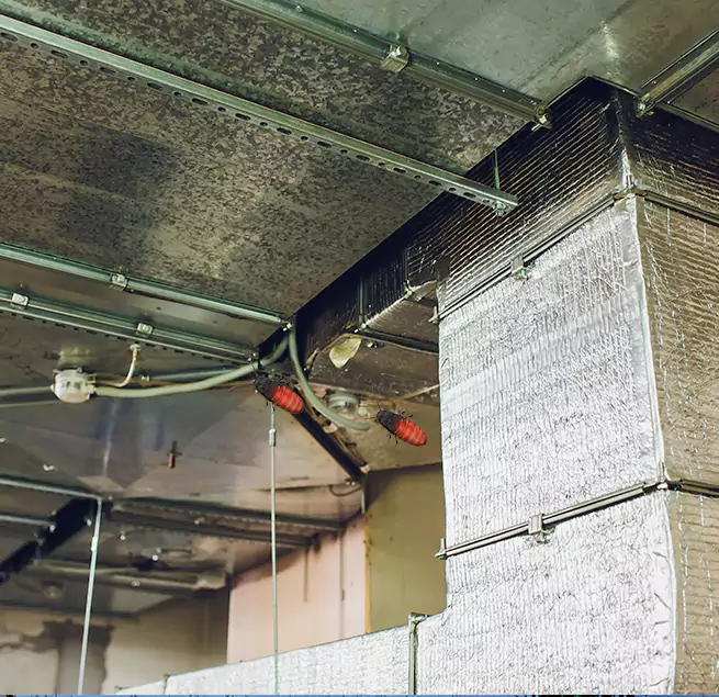 Why Homeowners & Businesses Trust Us Rancho Santa Margarita, CA?